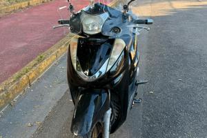 SH 300 TRATTABILE