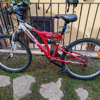 bici da ragazzo 