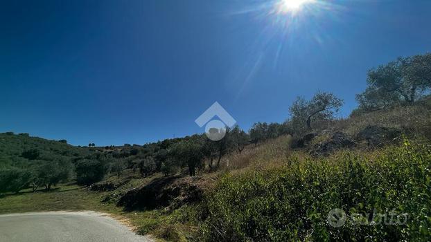 TERRENO A MONTE SAN GIOVANNI CAMPANO