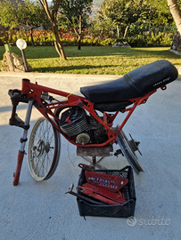 Trial Fantic motor 125