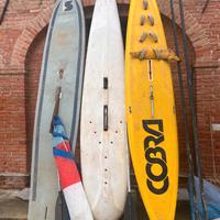 Tavole da windsurf