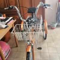  bicicletta per disabili