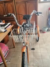  bicicletta per disabili