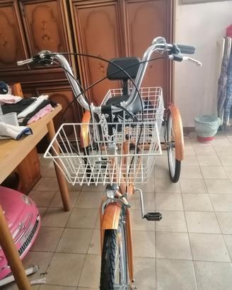  bicicletta per disabili