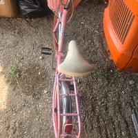 bicicletta marca dino 