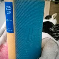 Teach yourself books - Arabic