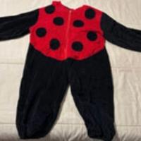 Vestito carnevale coccinella