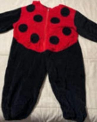 Vestito carnevale coccinella