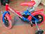 Immagine 4