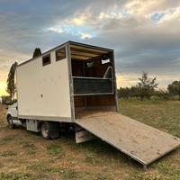 Van trasporto cavallo + living