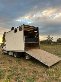 Van trasporto cavallo + living