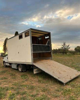 Van trasporto cavallo + living