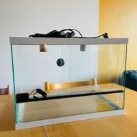 Teca-terrario per rettili