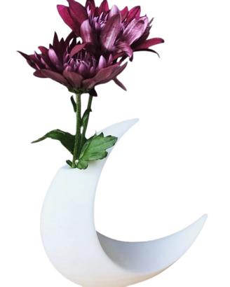 Vaso Luna
