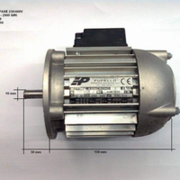 Motore elettrico mec 50 Pupello
