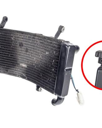 Radiatore acqua DUCATI ST4