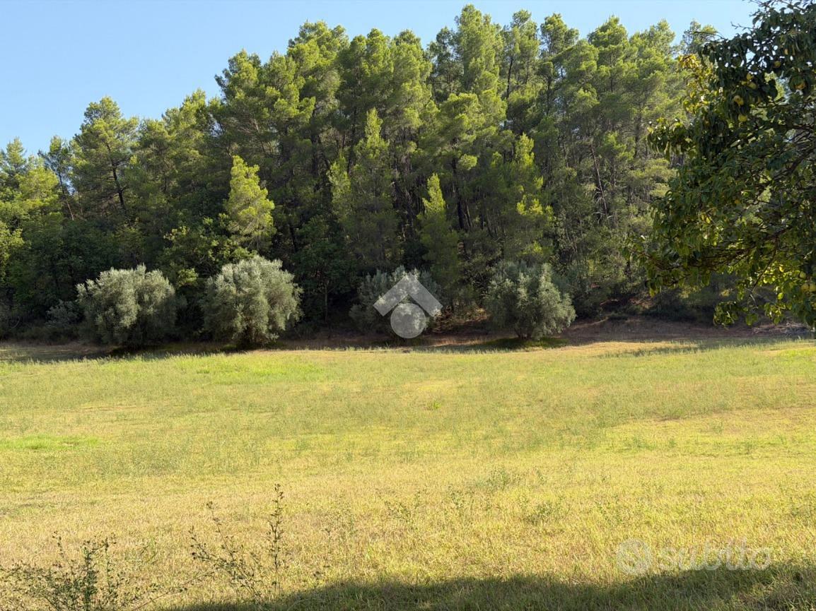TER. AGRICOLO A NARNI - Vista 2