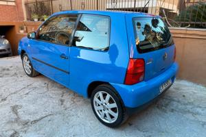 tenuta in modo maniacale adatta anche per I neopat