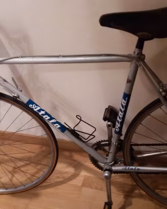 Bicicletta vintage