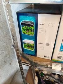 Acquario tre acquari