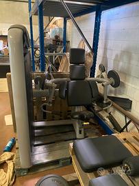 Arm Extension Selection Technogym ricondizionato