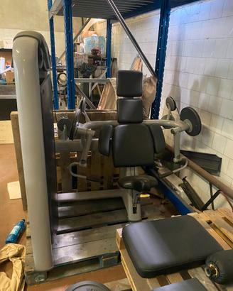 Arm Extension Selection Technogym ricondizionato