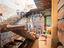 Immagine 29