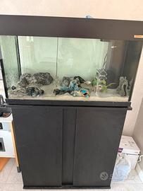 acquario 250l