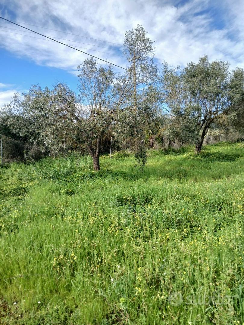 TERRENO AGRICOLO S'ARRIDELI SERDIANA - Vista 4