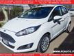 Ford Fiesta 1.5 TDCi 75CV 5 porte Titanium