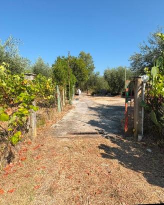 RUSTICO A SERMONETA