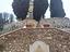Immagine 3