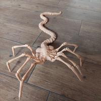 Facehugger grandezza naturale, film alien