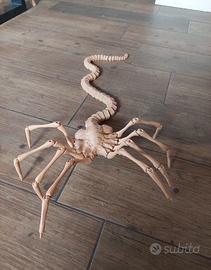 Facehugger grandezza naturale, film alien