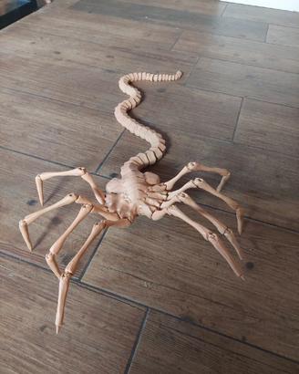 Facehugger grandezza naturale, film alien