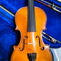 Violino Stentor Student 1 taglia 4/4