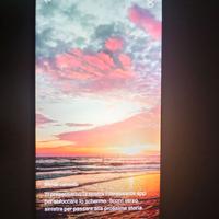 Realme C55 – condizioni perfette 