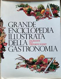 Grande Enciclopedia Illustrata Gastronomia Readers