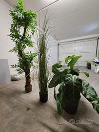 Piante ornamentali artificiali 