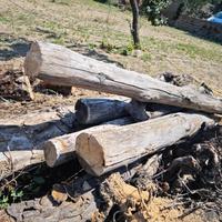 Passoni/Travi