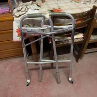 Carrello deambulatore