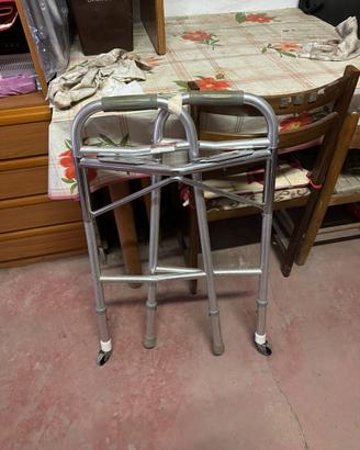 Carrello deambulatore