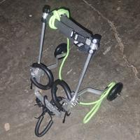 Carrellino gatti/cani disabili