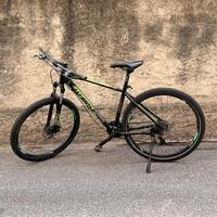 Bicicletta Patwin Whistle