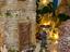 Immagine 6