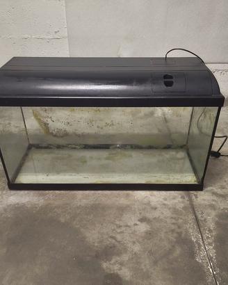 Acquario Askoll 100 Litri (80x30x40 cm) 