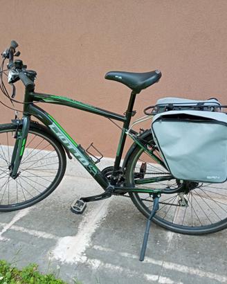 City bike Liotto Discovery