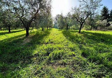 Terreno agricolo con porzione edificabile