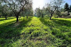 Terreno agricolo con porzione edificabile