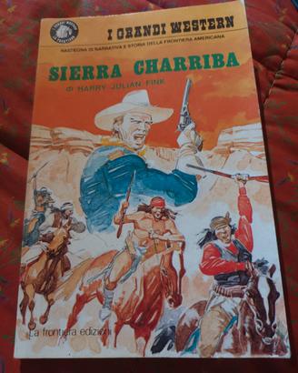 romanzo